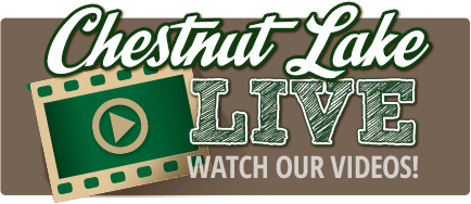 Chestnut Lake Live - Watch Our Summer Camp Videos