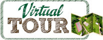 Virtual Tour: Take a Spin of Chestnut Lake Summer Camp